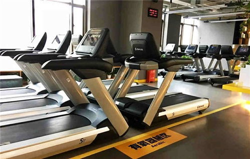 襄陽(yáng)戶(hù)外健身器材 舒揚(yáng)文體用品 圖