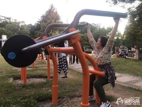金湖翠湖公園新增力量型運(yùn)動(dòng)器材,成為一道靚麗的風(fēng)景線(xiàn)